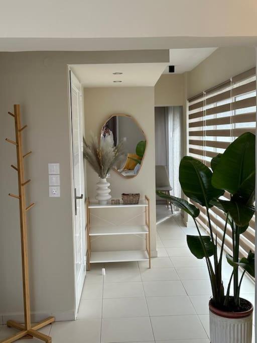 Filoxenia City Apartment Zakynthos Town Luaran gambar